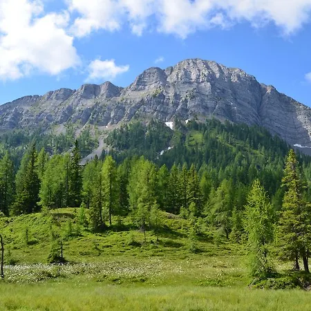 Daire Gaestehaus Inge *